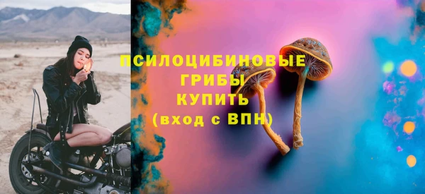 а пвп мука Абаза