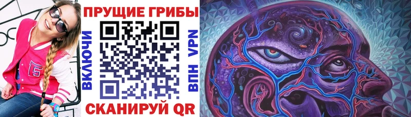 Псилоцибиновые грибы ЛСД  где найти наркотики  дарк нет телеграм  Жердевка  OMG маркетплейс 