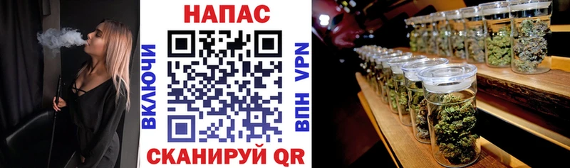 даркнет официальный сайт  Жердевка  Конопля сатива 